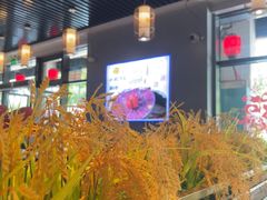 -小肥牛潮汕牛肉火锅(南联店)