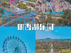 -南京银杏湖乐园
