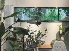 -the fall kaffe乐否咖啡