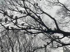-人民广场