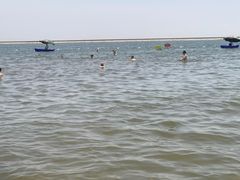 -碧海金沙