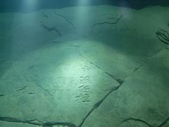 -白鹤梁水下博物馆
