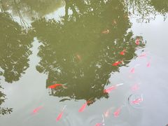 -南山植物园