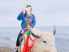 -青海湖国家重点风景名胜区