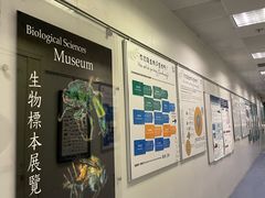 -香港大学