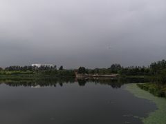 -东郊湿地公园
