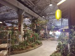 -森谷美食公园(杨行店)