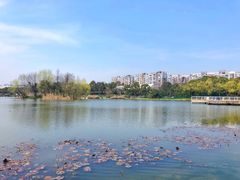 -新江湾城公园