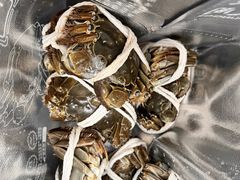 -阳澄湖大闸蟹·琼灵阁牌品牌连锁(吴中总店)