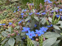 -国家植物园南园