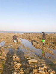 -万达宝贝王(青岛路万达广场店)