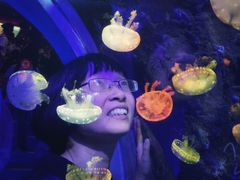 -台州海洋世界