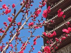 -玲珑塔公园