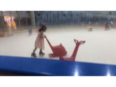 -世界之窗阿尔卑斯冰雪世界