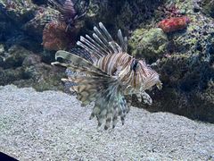 -大连老虎滩海洋公园