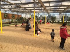 -南宫五洲植物乐园