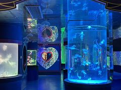 -左海海底世界