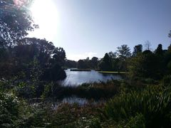 -墨尔本皇家植物园
