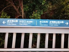 -福道