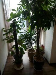 -源素美容养生会所