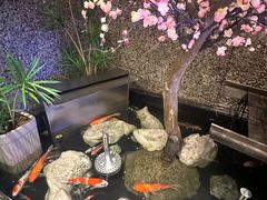-东海怡品海鲜豆捞(舟宿夜江店)
