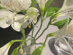 -屋里厢上海菜馆