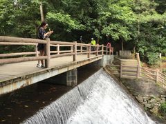 -溪口-滕头旅游景区