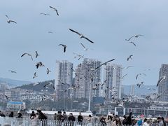 -星海广场
