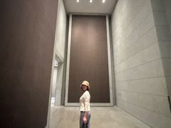 -上海柏悦酒店