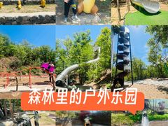 -欢乐松鼠谷