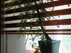 -迎悦轩(维景湾店)