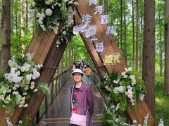 -黄海国家森林公园