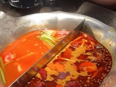 台式麻辣花胶鸡鸳鸯锅-湊湊火锅·茶憩(世博大道店)