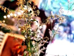 -时光花园(白鹭洲店)