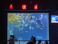 -太平洋海底世界