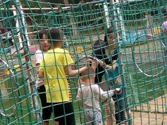 -广东茂名森林公园