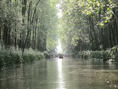 -合肥滨湖国家森林公园