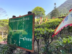 -姑婆山旅游区