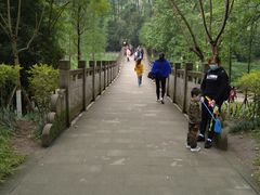 -重庆彩云湖湿地公园