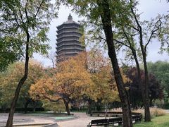 -玲珑塔公园