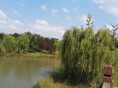 -南湖湿地公园