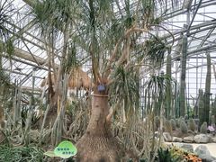 -南山植物园