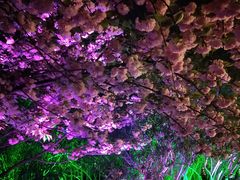 -苏州河梦清园环保主题公园