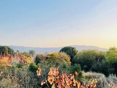 -黄陂区野村谷景区