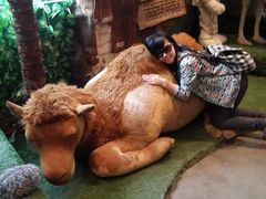 -济州岛泰迪熊博物馆