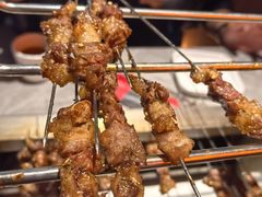 -鼎原力量东北吊炉烧烤(临河街店)