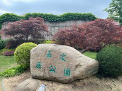 -嘉定紫藤园