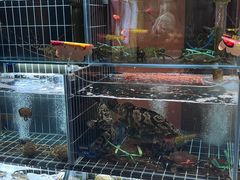 -苏淮景·苏闽融创菜·海鲜(原空港井河轩店)
