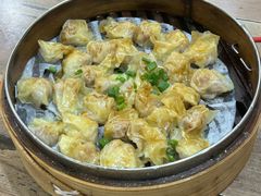 蒸馄饨-一溜下