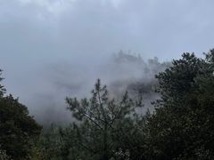 -卡定沟景区